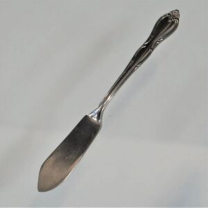 Oneida Wm A Rogers MONTCLAIR Pattern Butter Knife Vintage Stainless Floral Tip
